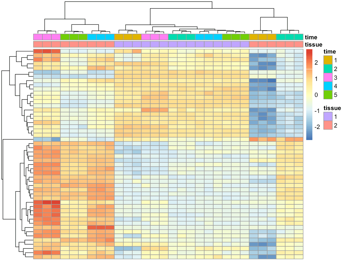Heatmap of top 50 differentially expressed genes in DRG at 1 day vs 0 day; rows are genes, columns are samples; red indicates upregulation and blue indicates downregulation.