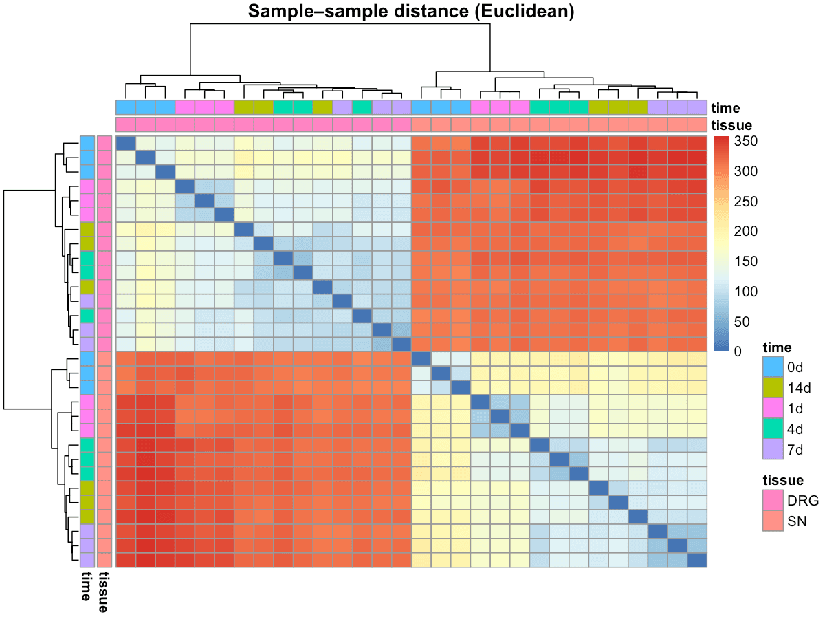 Heatmap of top 50 differentially expressed genes in SN at 1 day vs 0 day; mostly neutral/blue patterns indicate limited early activation.