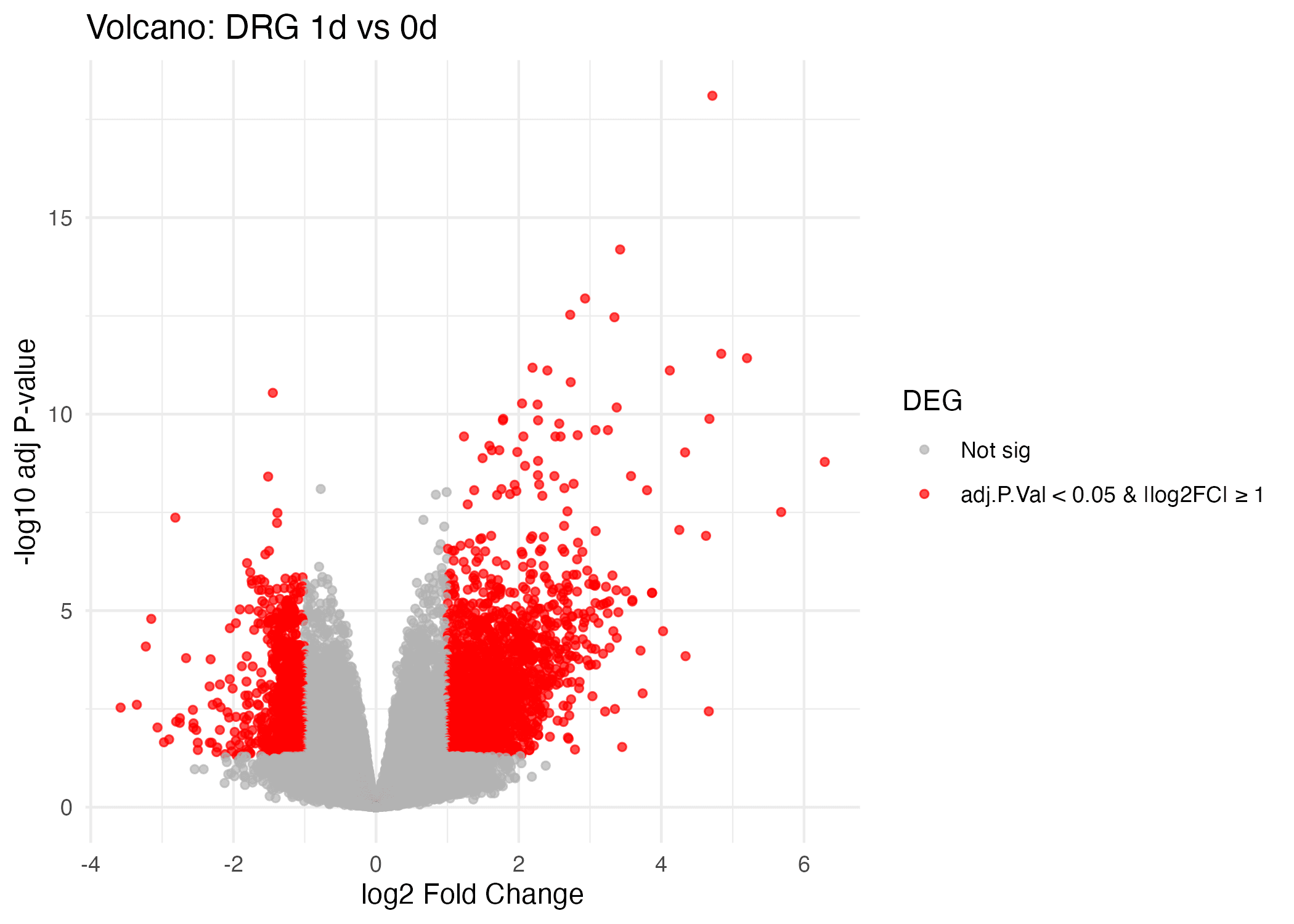 Volcano plot for DRG 1 day vs 0 day showing many significant genes with positive log2 fold change; y-axis is -log10 adjusted p-value.