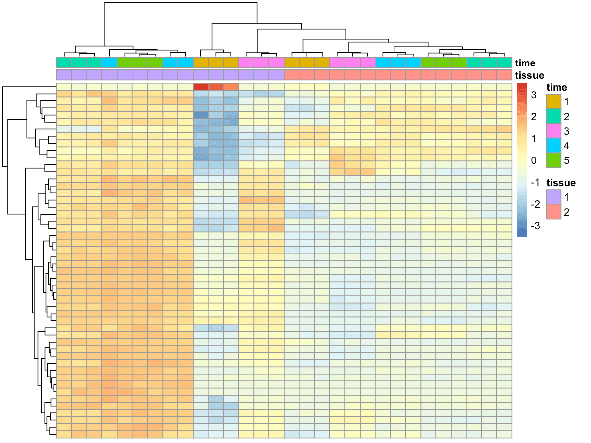 Heatmap of the top 50 differentially expressed genes in DRG at 4 days vs 0 days. Rows represent genes and columns represent samples, with red indicating upregulation and blue indicating downregulation.
