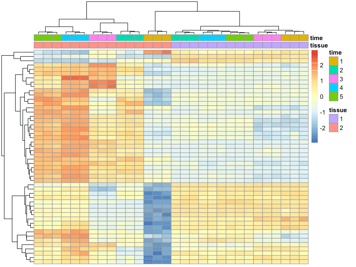 Heatmap of the top 50 differentially expressed genes in SN at 4 days vs 0 days. Red indicates upregulation, blue indicates downregulation.