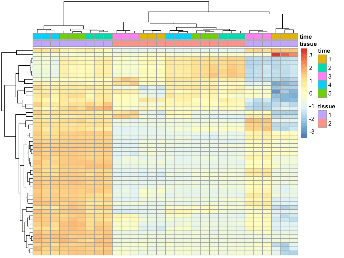 Heatmap of the top 50 differentially expressed genes in DRG at 14 days vs 0 days. Most genes show expression levels close to baseline, indicating the resolution of neuronal activity.